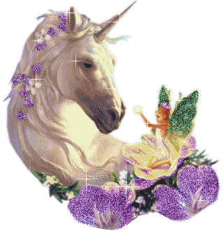 bonjour amis et amie du blog et d equideo