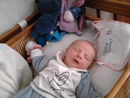 mon petit chou
