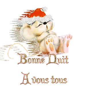 BONNE  SOIREE