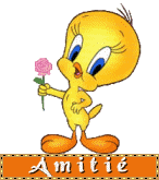 bonsoir